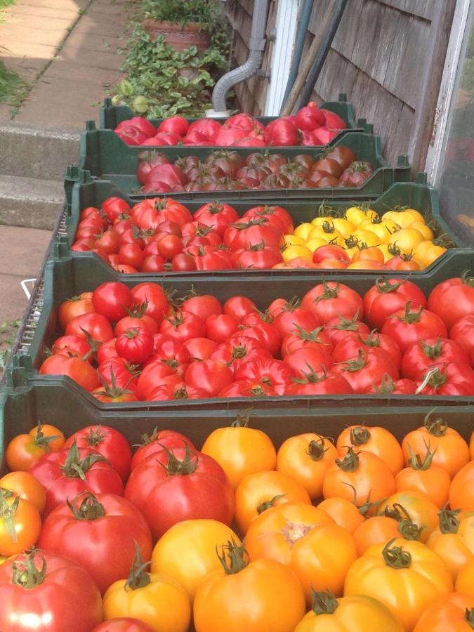 Hotel Nettles Farm Lummi Island Esterno foto